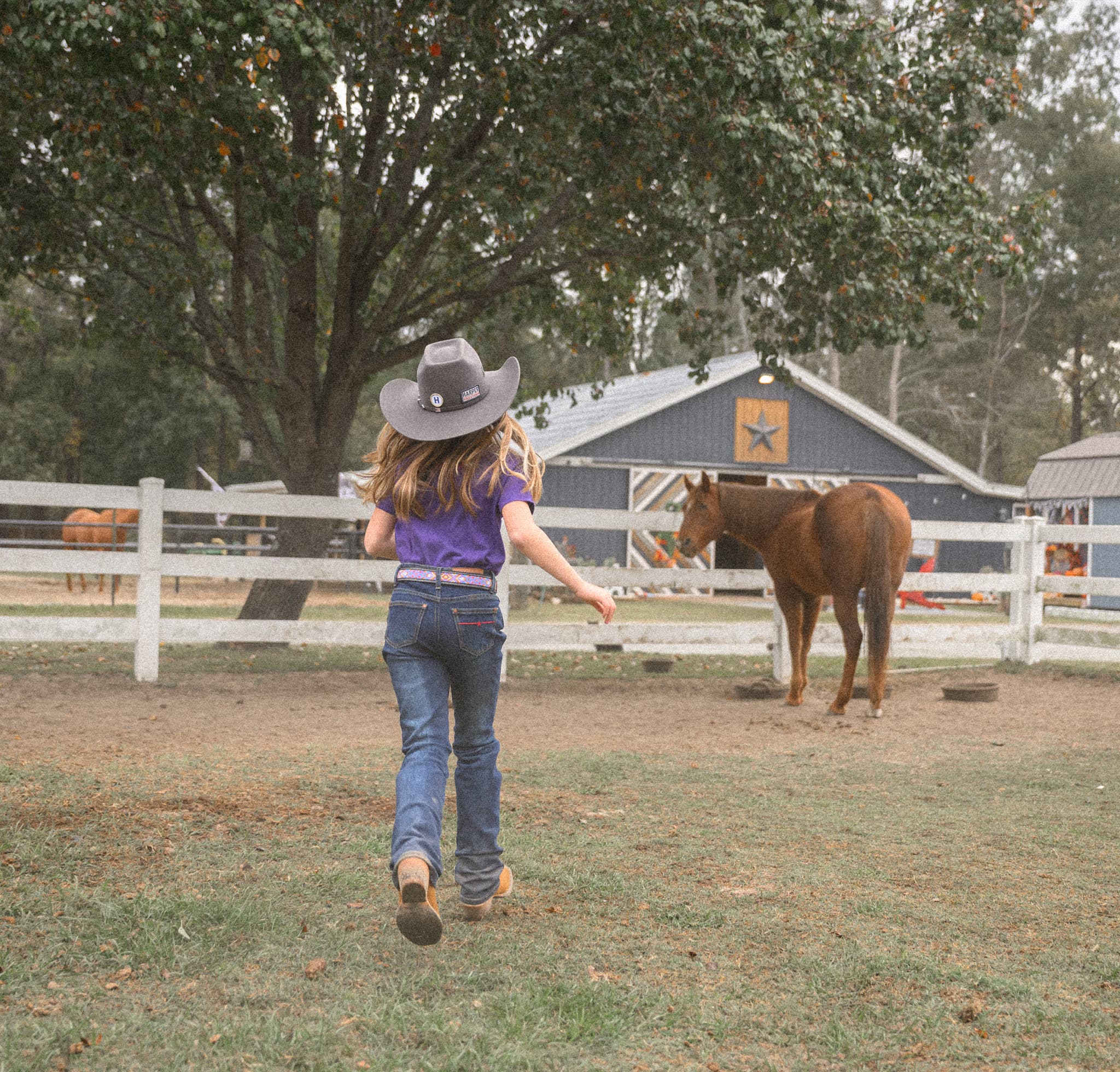 From Arena to Everyday: The Harper Rodeo Denim Story