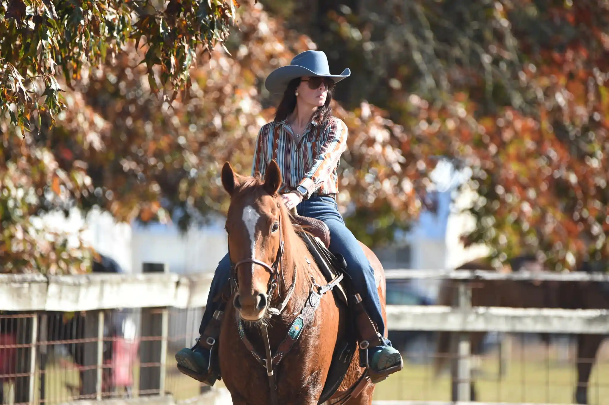 Allison Pettruny barrel racing for Team HRD